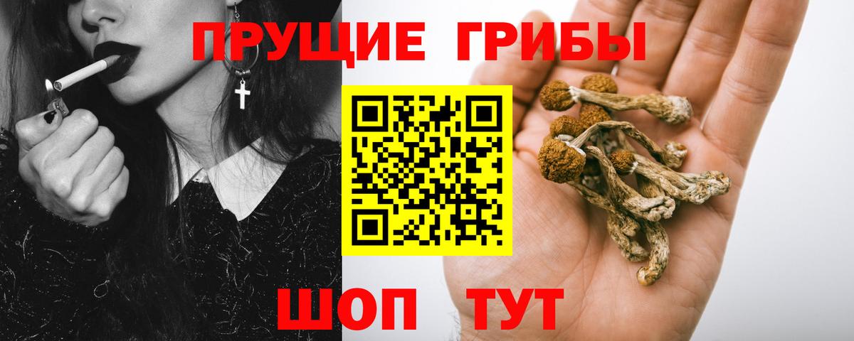 Псилоцибиновые грибы GOLDEN TEACHER  Галлюциногенные грибы Psilocybe  Вход с VPN  Ижевск 